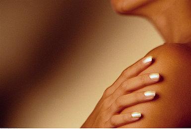 经典名作《蜜蜂模拟器》新装版8月登陆Steam 体验蜜蜂生活